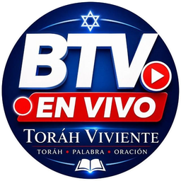 BTV · En vivo